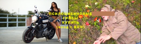 гашик Абаза