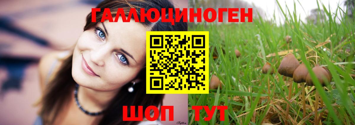 Галлюциногенные грибы MAGIC MUSHROOMS  Псилоцибиновые грибы MAGIC MUSHROOMS  Алейск  Вход с VPN 
